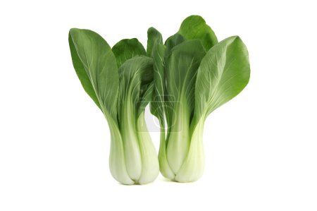 Bok choy, also known as pak choi or pok choi type of Chinese cabbage isolated on white background