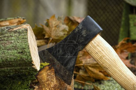 Black hatchet with a wooden handle lodged upright into a piece of wood or tree stump in the blurred background shed