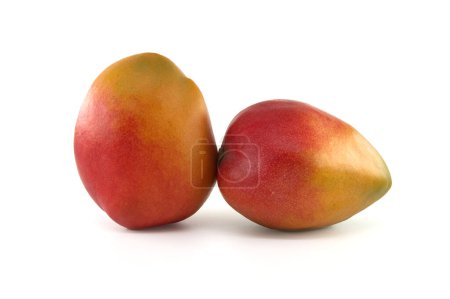 Foto de Dos frutos maduros de mango con una mezcla de tonos rojos y amarillos en su piel aislados sobre un fondo blanco - Imagen libre de derechos