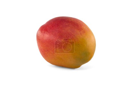 Foto de Fruto maduro de mango con una mezcla de tonos rojos y amarillos en su piel aislada sobre un fondo blanco - Imagen libre de derechos