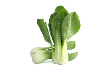 Pak choi, also known as bok choi or pok choi type of Chinese cabbage isolated on white background