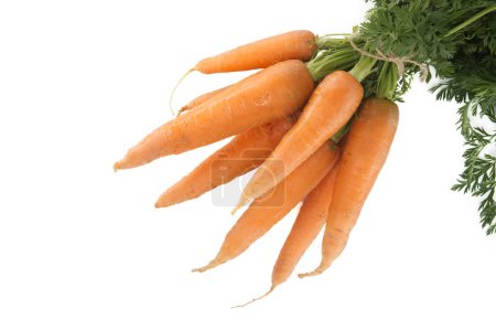 Bundle of vibrant orange carrots with green leafy tops, carrots are tied together with twine, showcasing a natural and rustic appearance
