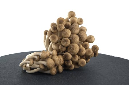 Trauben von braunen Buchenpilzen, auch als Shimeji-Pilze bekannt, angeordnet auf schwarzem Steinteller vor weißem Hintergrund