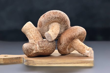 Los hongos shiitake crudos, conocidos por sus propiedades nutricionales y medicinales, descansan en una tabla de cortar, nutricional y medicinal, Lentinula edodes