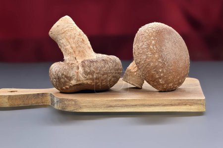 Raw shiitake mushrooms, known for their nutritional and medicinal properties, rest on a cutting board, health food and pharmacological properties, Lentinula edodes