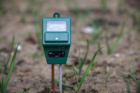 Green electronic soil moisture meter placed in a natural environment near germinating plants