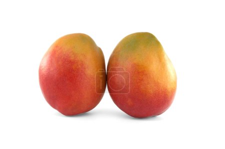 Foto de Dos mangos con una mezcla de tonos rojos y amarillos en su piel aislados sobre un fondo blanco - Imagen libre de derechos