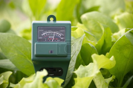 Landwirtschaftliches Messgerät zur Messung des pH-Wertes des Bodens, des Licht- und Feuchtigkeitsniveaus des Bodens in einem Feld mit frischen grünen Frühjahrssämlingen während des Kulturbetriebs