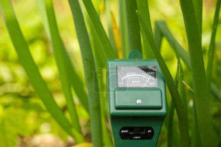 Landwirtschaftliches Messgerät zur Messung des pH-Wertes des Bodens, des Licht- und Feuchtigkeitsniveaus des Bodens in einem Feld mit frischen grünen Frühjahrssämlingen während des Kulturbetriebs