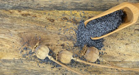 Semillas de amapola negra y cabezas secas de semillas de amapola esparcidas sobre una mesa de madera rústica