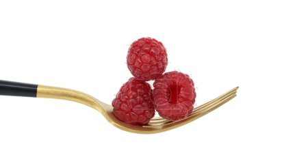 Red raspberries arranged on gold fork with a black handle, set against a white background, symbolizing a concept of healthy diet and organic food