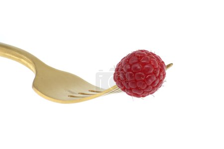 Frambuesa roja dispuesta sobre tenedor de oro con asa negra, engarzada sobre fondo blanco, simbolizando un concepto de dieta saludable y alimentación ecológica