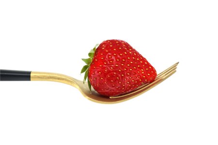 Rote Erdbeere auf Goldgabel mit schwarzem Griff vor weißem Hintergrund, Symbol für gesunde Ernährung und Biolebensmittel