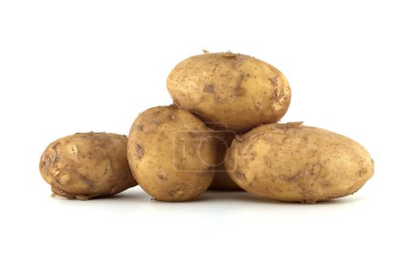 Group of fresh early potatoes, with a light brown skin and dark brown spots isolated on a white background