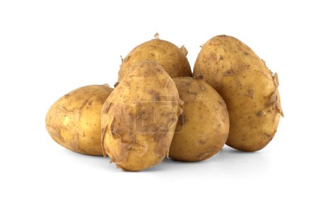 Groupe de pommes de terre fraîches précoces, à la peau brun clair et aux taches brun foncé isolées sur fond blanc
