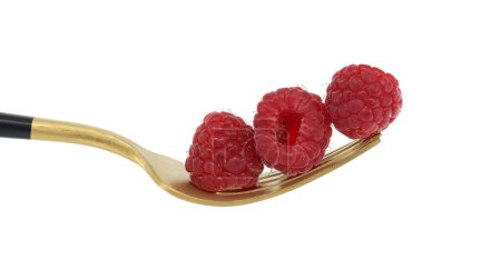 Frambuesas rojas cuidadosamente apiladas en las puntas de un tenedor de oro con un mango negro aislado sobre un fondo blanco, dieta saludable, concepto de alimentos orgánicos