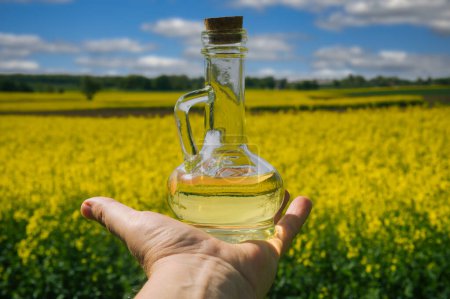 Hand holding a glass bottle filled with yellow rapeseed oil against a scenic background of a vibrant rapeseed field full of yellow flowers under a clear blue sky with some white clouds