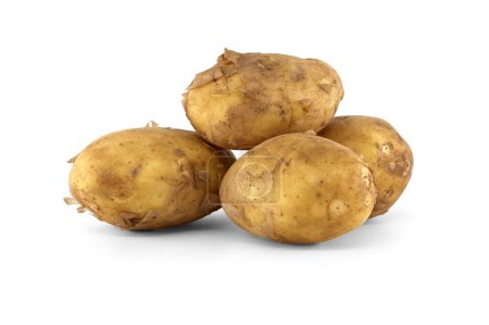 Group of fresh early potatoes, with a light brown skin and dark brown spots isolated on a white background