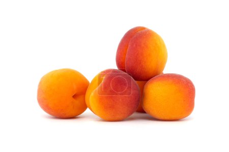 Sammlung frischer reifer ganzer leuchtend gelb-orangefarbener Aprikosen isoliert auf weißem Hintergrund