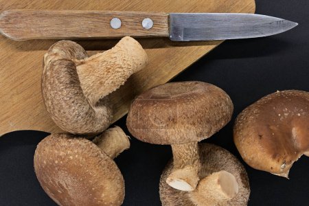 Frische Shiitake-Pilze und Holzschneidebrett mit Messer darauf auf schwarzem Hintergrund angeordnet