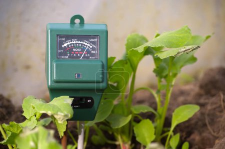 Green plants and three way meter PH, light and moisture in the soil. High technology agriculture concept