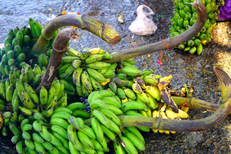 Foto de Fruta como el plátano verde ofrecido al Señor Sol durante Kolkata Chhas Puja en Babu Ghat - Imagen libre de derechos
