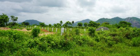 Ein schöner grüner Blick auf den Berg Daringbadi, Odisha