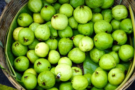 Baruipur Special Guava steht im Baruipur Supermarkt zum Verkauf