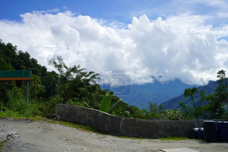 Beautiful Scenic Beauty of North Bengal Road and Nature 7