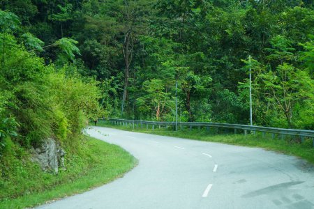 Beautiful Scenic Beauty of North Bengal Road and Nature