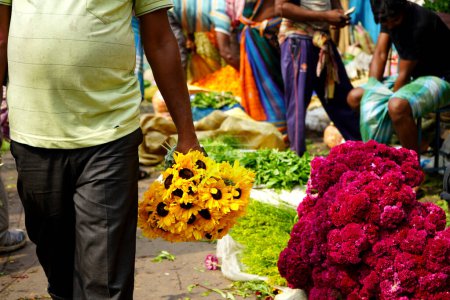 Käufer kaufen ein Bündel Sonnenblumen vom Howrah-Blumenmarkt