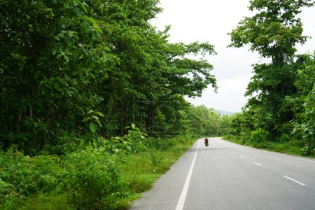 Téléchargez les photos : Route longue et propre vers Daringbadi avec vue sur la verdure d'Odisha - en image libre de droit