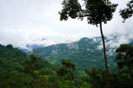 Clima nublado en la montaña del norte de Bengala 12