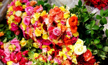 Different Types and Different color of Roses in howrah flower market for sale