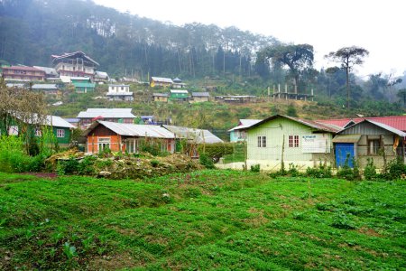 GREENERY IN MOUNTAIN DILLAGE IN SILK ROUTE SIKKIM KALIMPONG