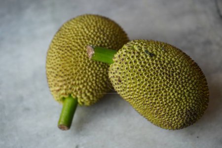 Jackfruit cru vert frais minuscule
