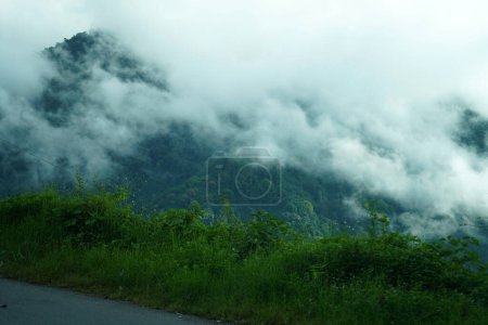 Téléchargez les photos : Route et verdure Nature de Himalaya Range Village 6 - en image libre de droit