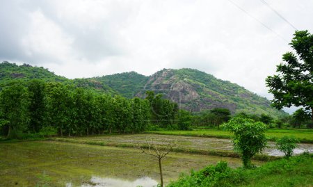 Die Frische der Greebery Hill Ansicht von daringbadi von Odisha