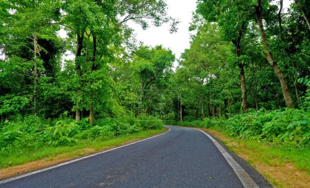 Die saubere Straße biegt in den tiefen grünen Wald von Daringbadi, Odisha