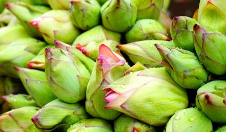 West Bengal Famous Lotus before blomming in Howrah Flower Market for Sale