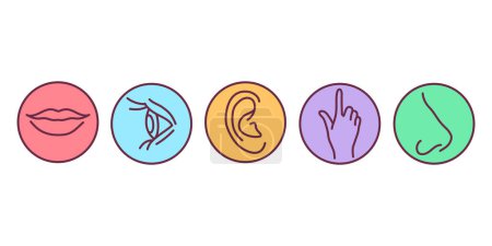 Illustration for Five human senses color line icons set. Elements: vision, hearing, smell, taste, touch - Royalty Free Image