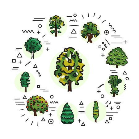 Illustration for Trees web banner. Infographics with linear icons - Royalty Free Image