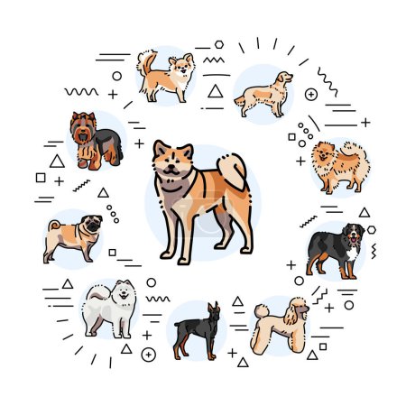 Illustration for Breed dogs web banner. Infographics with linear icons - Royalty Free Image