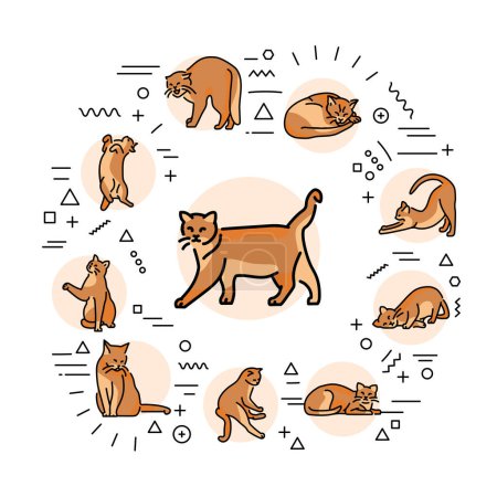Illustration for Different poses cats web banner. Infographics with linear icons on white background. Creative idea concept. - Royalty Free Image