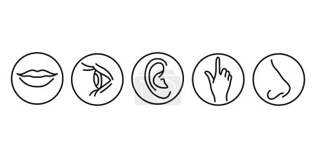 Illustration for Five human senses color line icons set. - Royalty Free Image