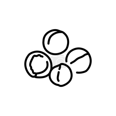 Ilustración de Macadamia nuez línea negra icono. Comida orgánica natural súper. - Imagen libre de derechos