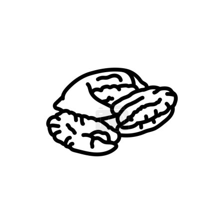 Ilustración de Icono de línea negra de Pecan. Comida orgánica natural súper. - Imagen libre de derechos