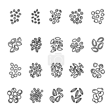 Illustration for Grain and seeds black line icons set. - Royalty Free Image