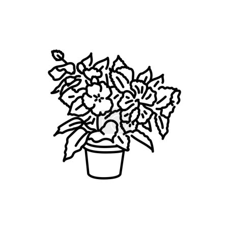 Téléchargez les illustrations : Hibiscus houseplant icône de ligne noire. Plante décorative d'intérieur. - en licence libre de droit