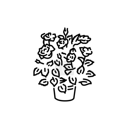 Illustration for Roses houseplant black line icon. Indoor decorative plant. - Royalty Free Image